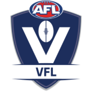 VFL Logo. Decorative Image.
